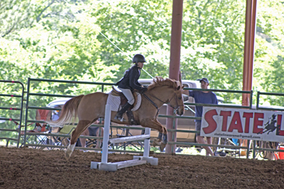 Picture from Catoosa County Saddle Club show