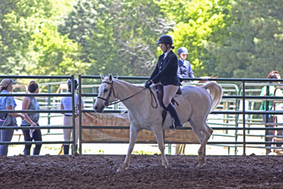 Picture from Catoosa County Saddle Club show