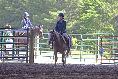 Picture from Catoosa County Saddle Club show