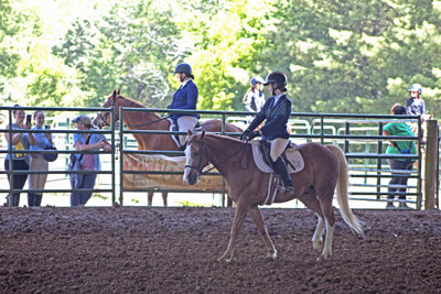 Picture from Catoosa County Saddle Club show