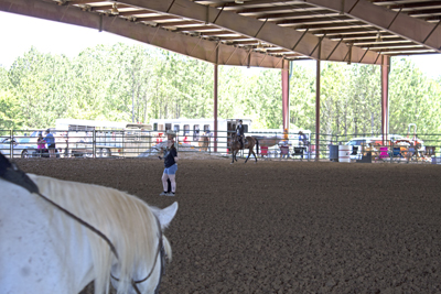Picture from Catoosa County Saddle Club show