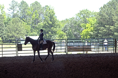Picture from Catoosa County Saddle Club show