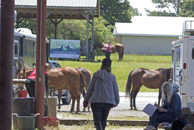 Picture from Catoosa County Saddle Club show
