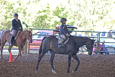 Picture from Catoosa County Saddle Club show