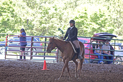 Picture from Catoosa County Saddle Club show