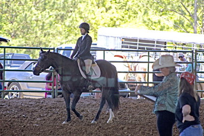 Picture from Catoosa County Saddle Club show
