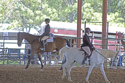 Picture from Catoosa County Saddle Club show