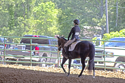 Picture from Catoosa County Saddle Club show