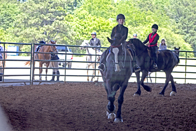 Picture from Catoosa County Saddle Club show