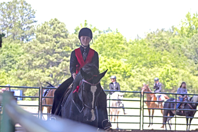 Picture from Catoosa County Saddle Club show