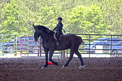 Picture from Catoosa County Saddle Club show