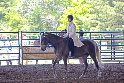 Picture from Catoosa County Saddle Club show