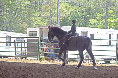 Picture from Catoosa County Saddle Club show