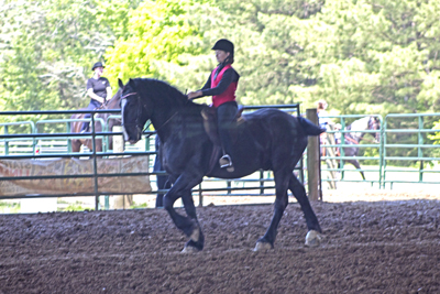 Picture from Catoosa County Saddle Club show