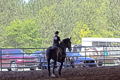 Picture from Catoosa County Saddle Club show