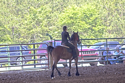 Picture from Catoosa County Saddle Club show
