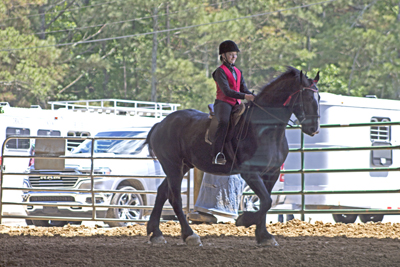Picture from Catoosa County Saddle Club show