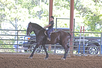 Picture from Catoosa County Saddle Club show