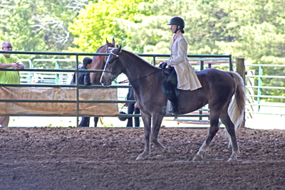 Picture from Catoosa County Saddle Club show