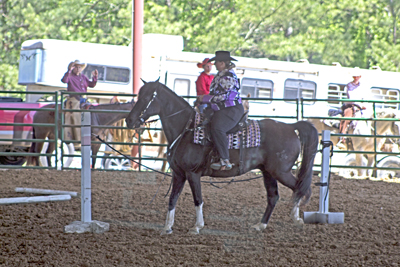 Picture from Catoosa County Saddle Club show