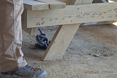 Picture from Catoosa County Saddle Club show