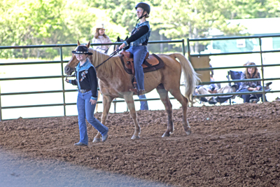 Picture from Catoosa County Saddle Club show