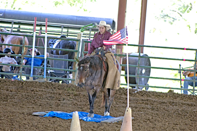 Picture from Catoosa County Saddle Club show