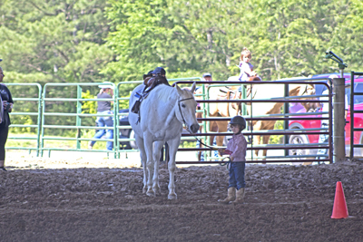 Picture from Catoosa County Saddle Club show