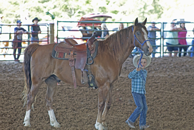 Picture from Catoosa County Saddle Club show