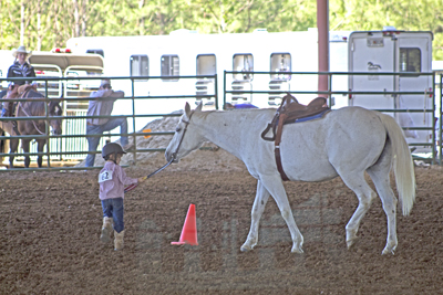 Picture from Catoosa County Saddle Club show