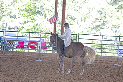 Picture from Catoosa County Saddle Club show