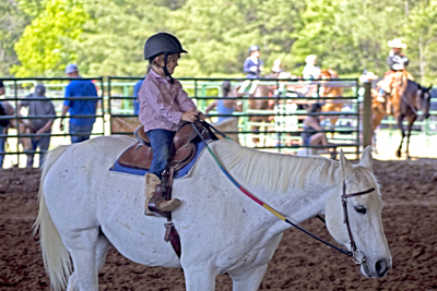 Picture from Catoosa County Saddle Club show