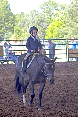 Picture from Catoosa County Saddle Club show