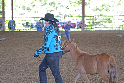 Picture from Catoosa County Saddle Club show