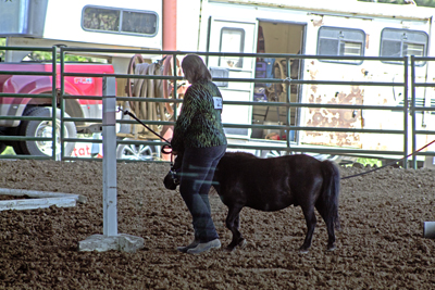 Picture from Catoosa County Saddle Club show