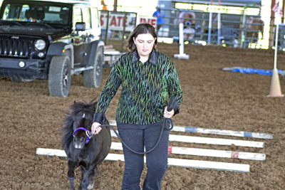 Picture from Catoosa County Saddle Club show