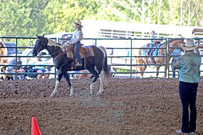 Picture from Catoosa County Saddle Club show