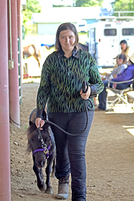 Picture from Catoosa County Saddle Club show