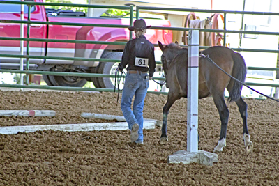 Picture from Catoosa County Saddle Club show