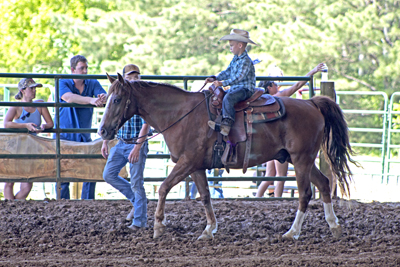 Picture from Catoosa County Saddle Club show