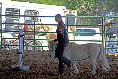 Picture from Catoosa County Saddle Club show