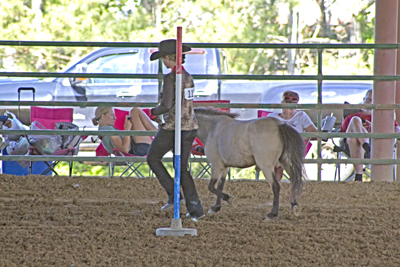 Picture from Catoosa County Saddle Club show