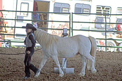 Picture from Catoosa County Saddle Club show