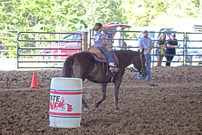 Picture from Catoosa County Saddle Club show