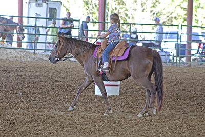 Picture from Catoosa County Saddle Club show