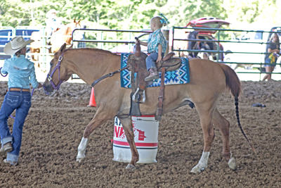 Picture from Catoosa County Saddle Club show