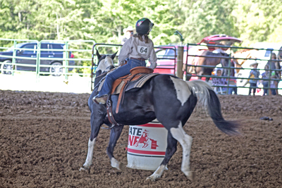 Picture from Catoosa County Saddle Club show