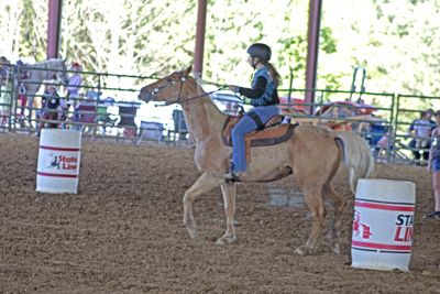 Picture from Catoosa County Saddle Club show