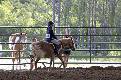 Picture from Catoosa County Saddle Club show