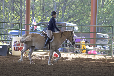 Picture from Catoosa County Saddle Club show